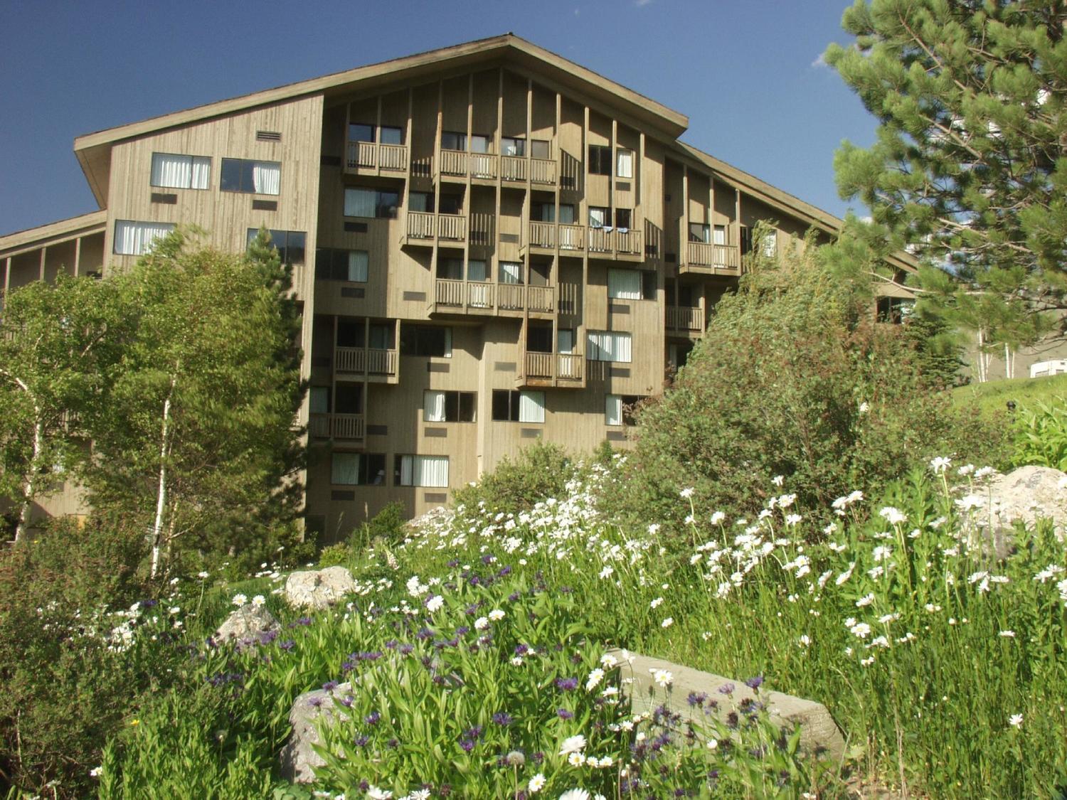 Snow King Resort & Grand View Lodge, Jackson Hole, WY Jobs