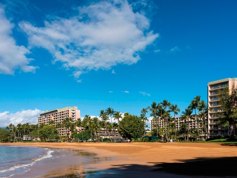 The Royal Sonesta Kaua'i Resort Lihue, Lihue, HI Jobs Hospitality Online