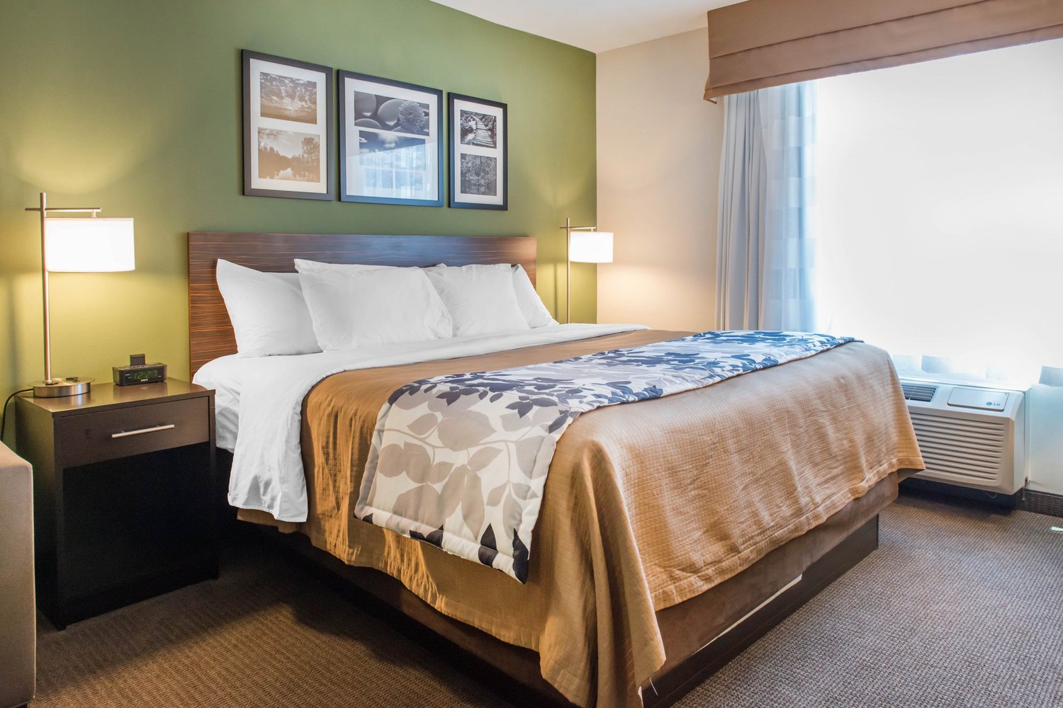 Sleep Inn & Suites Defuniak Springs/Crestview, Defuniak Springs, FL