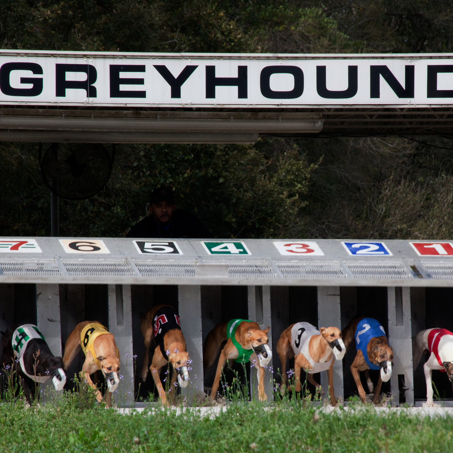 Mobile Greyhound Park, Theodore, AL Jobs Hospitality Online