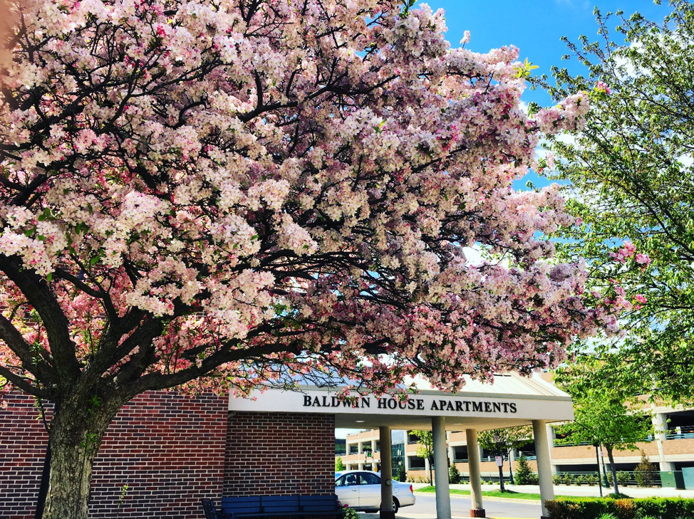 Baldwin House, Birmingham, MI Jobs Hospitality Online