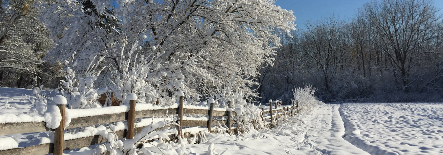 Village of Schaumburg, Schaumburg, IL Jobs Hospitality Online