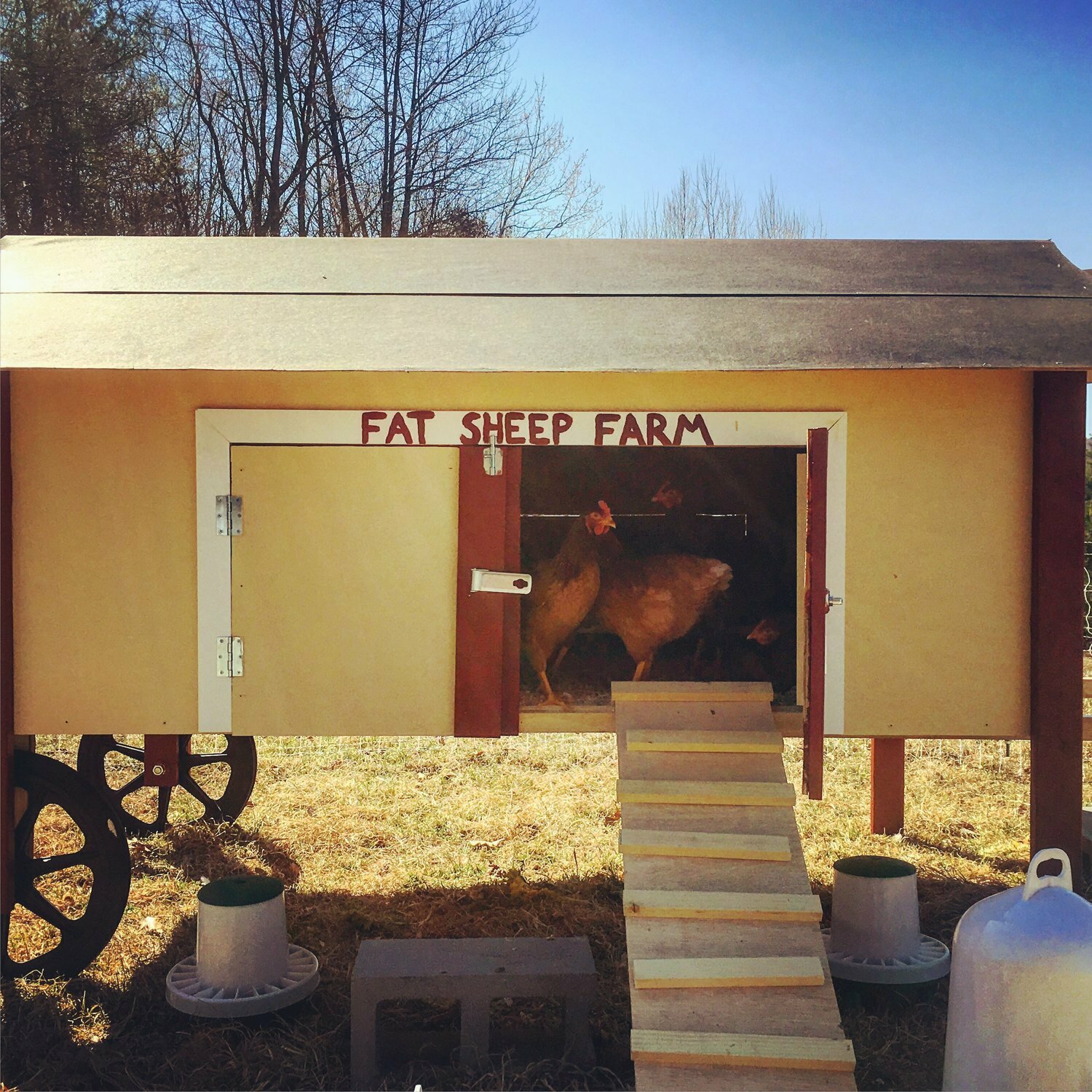 Fat Sheep Farm & Cabins, Windsor, VT Jobs Hospitality Online